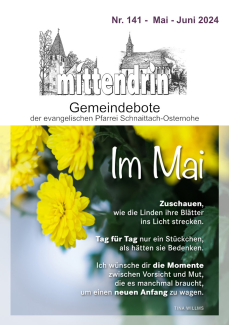 Cover von Ausgabe 141 des Gemeindeboten „mittendrin“. Titelmotiv: Grüne Blätter und gelbe Blüten.